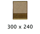 300x240